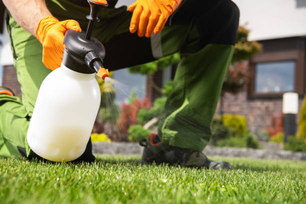 Best Flea Control Services  in Collinsburg, PA