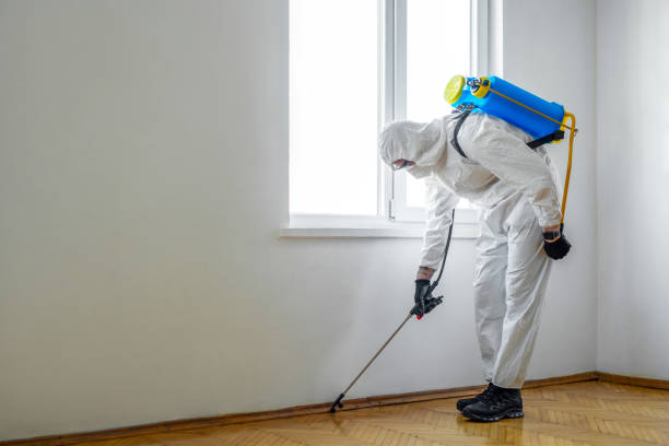 Best Wildlife Control Services  in Collinsburg, PA